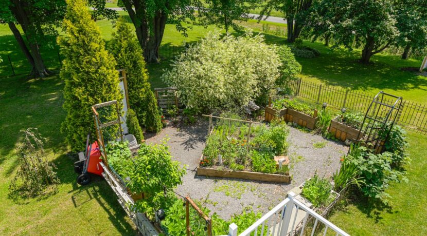 Jardin